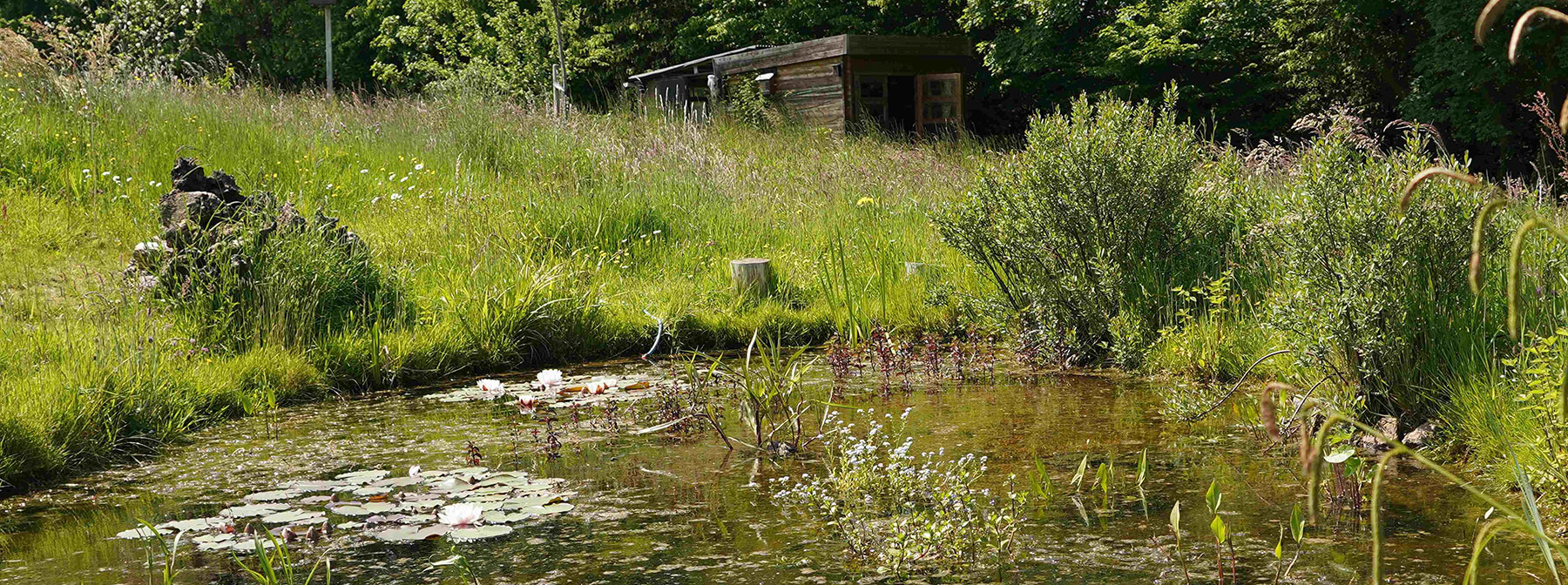 Jardin écologique Imby
